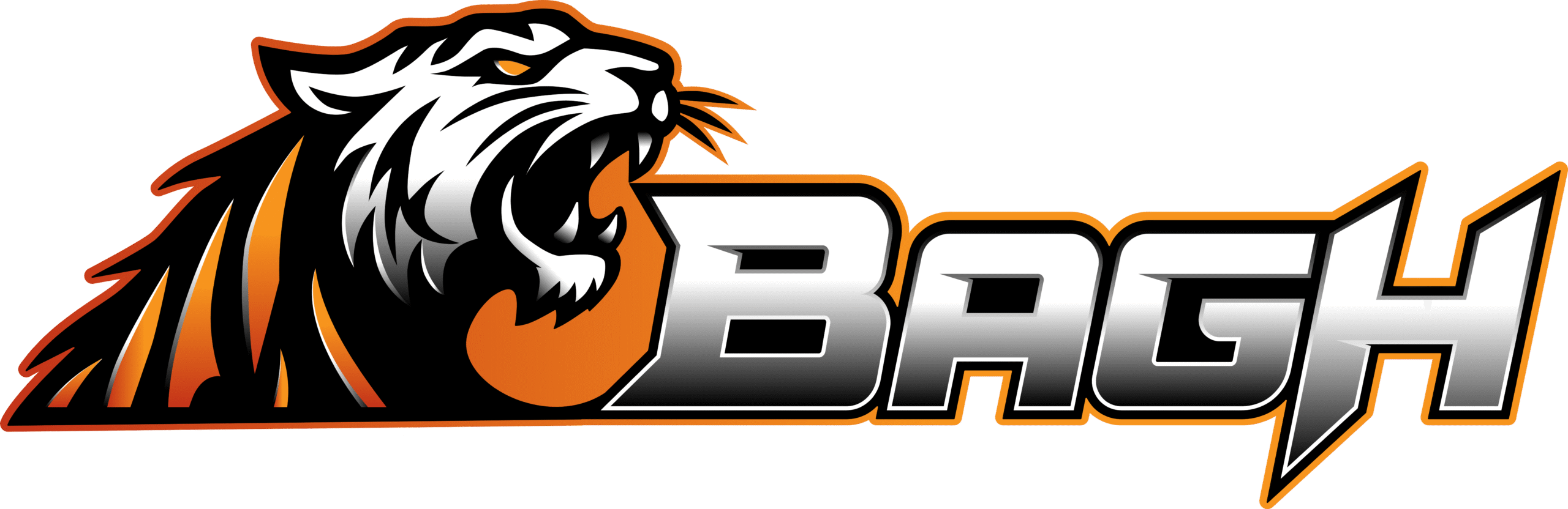 Bagh – Best Betting App & Casino Site in Bangladesh